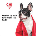 CHI For Dogs Deodorizing No Rinse Foam, , large image number null